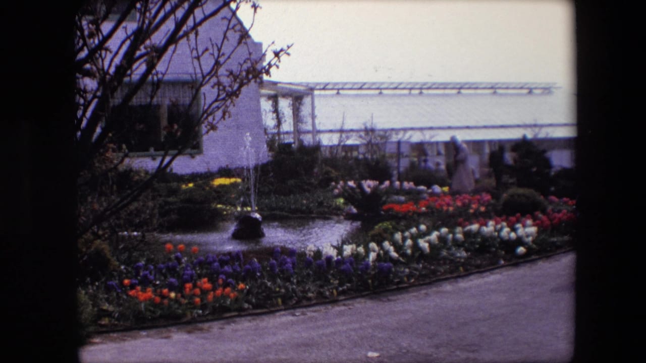 1967 8mm frame identified as Amsterdam showing a landscaped garden with a small pond, fountain jets, colorful flower beds, a path, trees, and a pale building beyond.