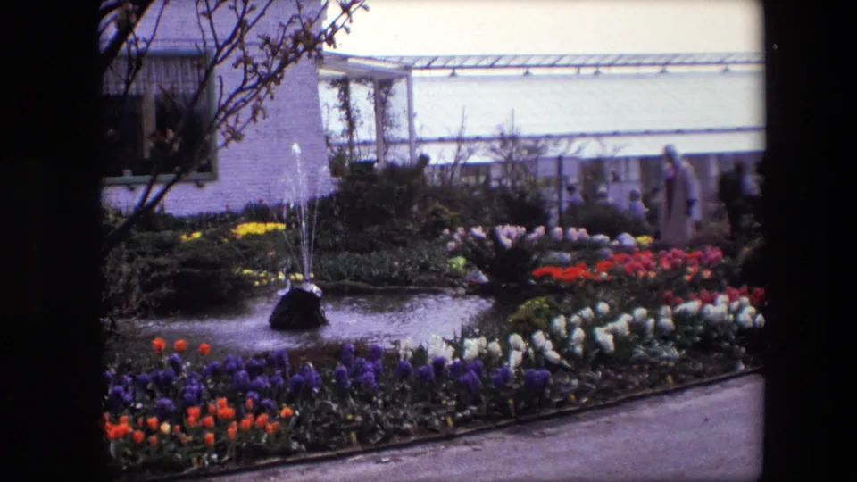 1967 8mm frame identified as Amsterdam showing visitors near a greenhouse-like structure behind a pond, fountain, and bands of colorful flowers.