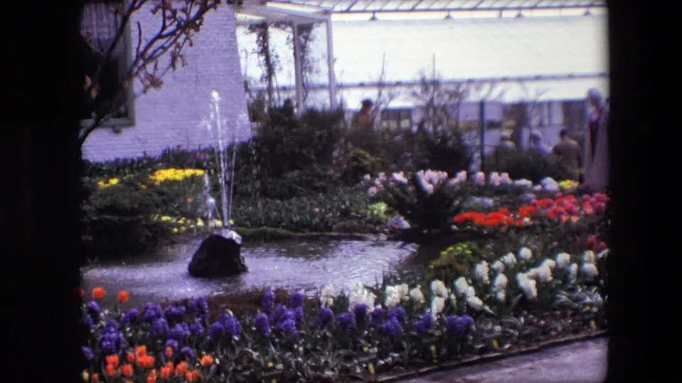 1967 8mm frame identified as Amsterdam showing a closer garden view with fountain spray, pond water, dense flower beds, and visitors near a glass-fronted structure.