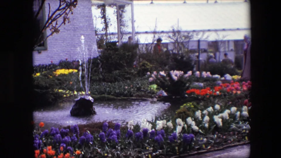 1967 8mm frame identified as Amsterdam showing a fountain in a pond, layered flower beds, a paved edge, and visitors walking near the background building.