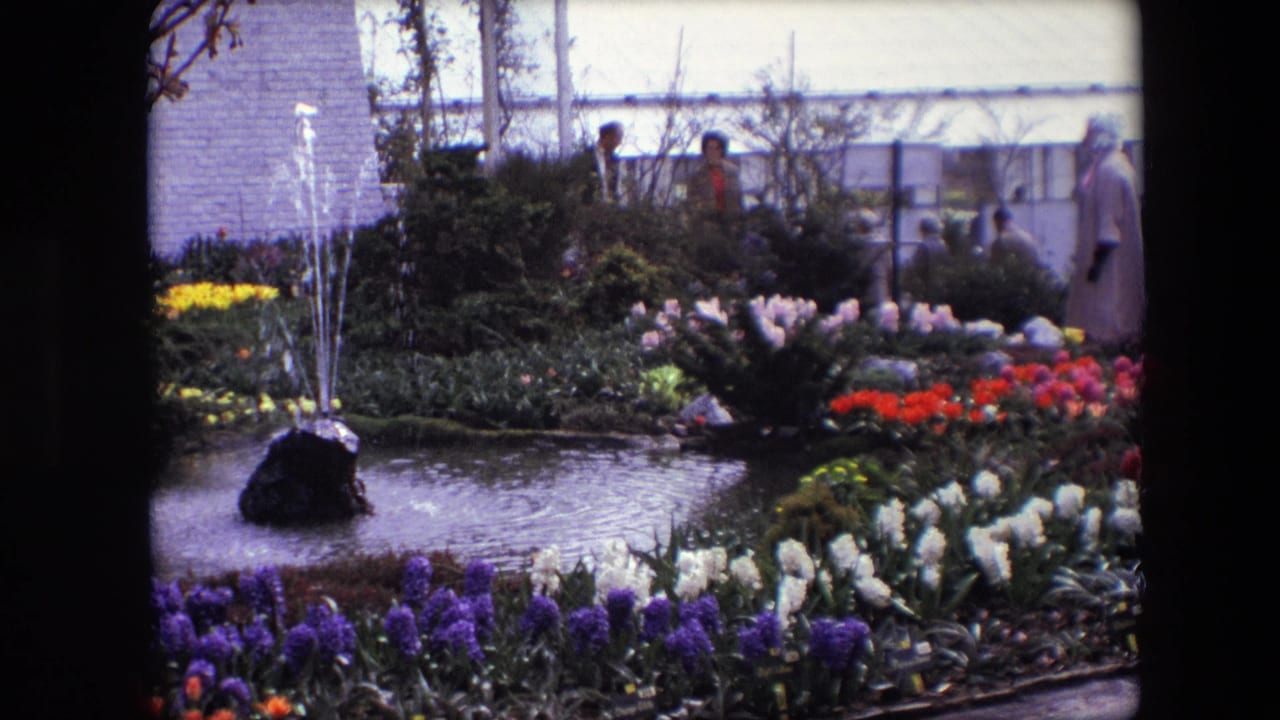 Cataloged 1967 8mm footage shows a public garden display with a pond, small fountain, purple and white flowers, red tulips, shrubs, and background visitors.