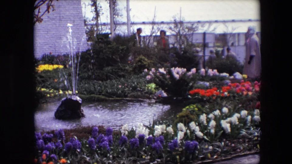 Cataloged 1967 8mm footage shows a public garden display with a pond, small fountain, purple and white flowers, red tulips, shrubs, and background visitors.