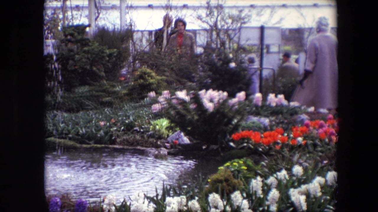 Flower beds and pond with visitors standing behind shrubs and a person in a light coat at right.