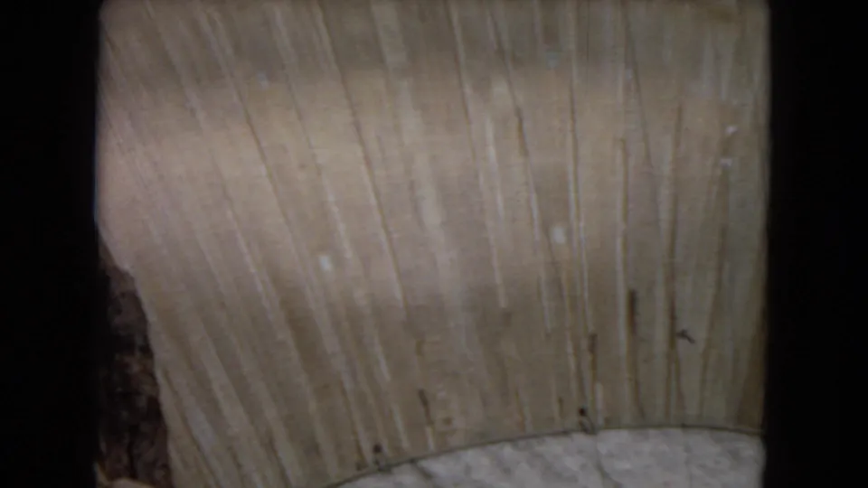 Close 8mm frame of the curved concrete dam face in the model, emphasizing vertical weathering lines, pale concrete tones, and the rounded crest shape.