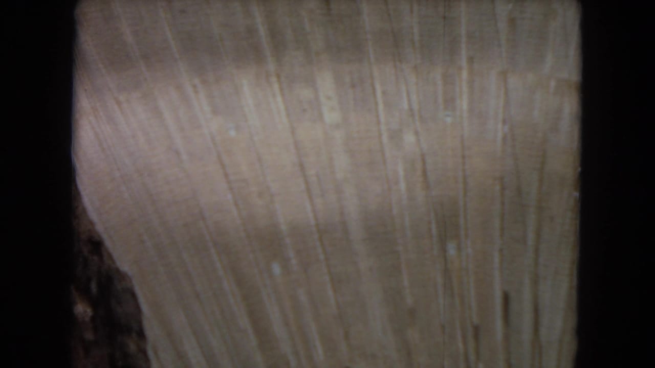 Close 1967 8mm view of unfinished beige concrete on a large dam structure, with vertical streaks, soft focus, and dark film gate borders.