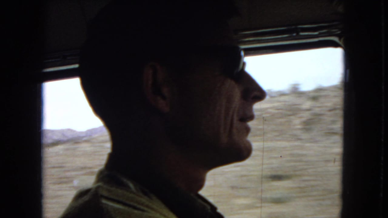 Man in sunglasses driving in profile with desert landscape outside the vehicle window.