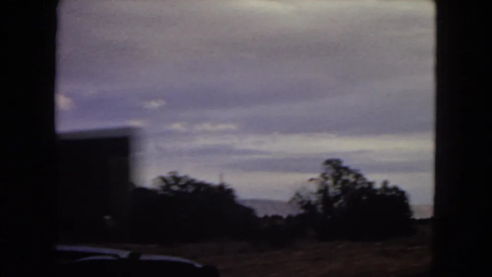 From inside the moving car, dark roadside trees and the car hood silhouette against a cloudy sky and low distant landscape.