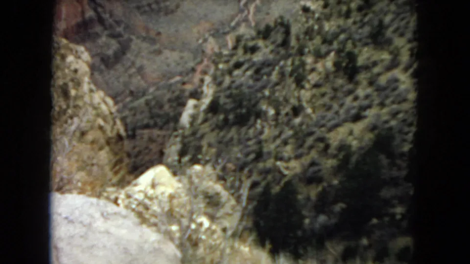 A high vantage over Arizona canyon terrain shows foreground cliff rock, dense dark vegetation, layered slopes, and a pale winding route through the canyon floor.