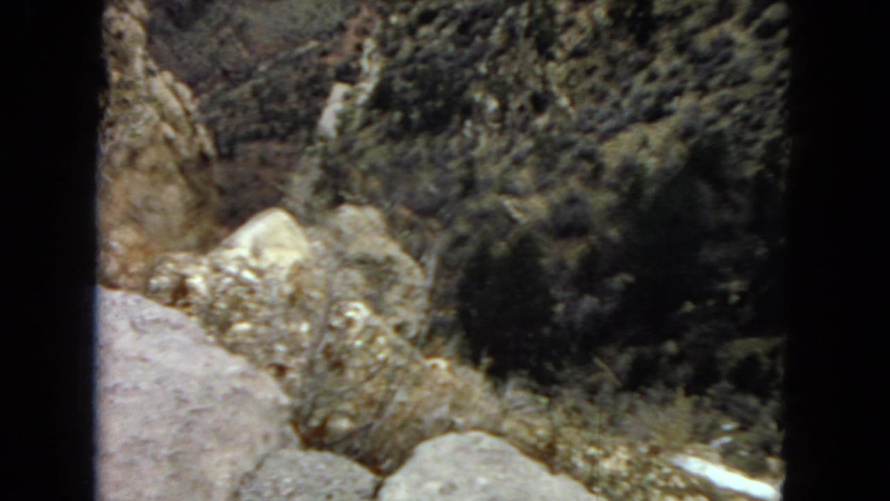 1967 Arizona home-movie frame showing a rocky desert slope with pale boulders, dry ground, and scattered shrubs under harsh sun.