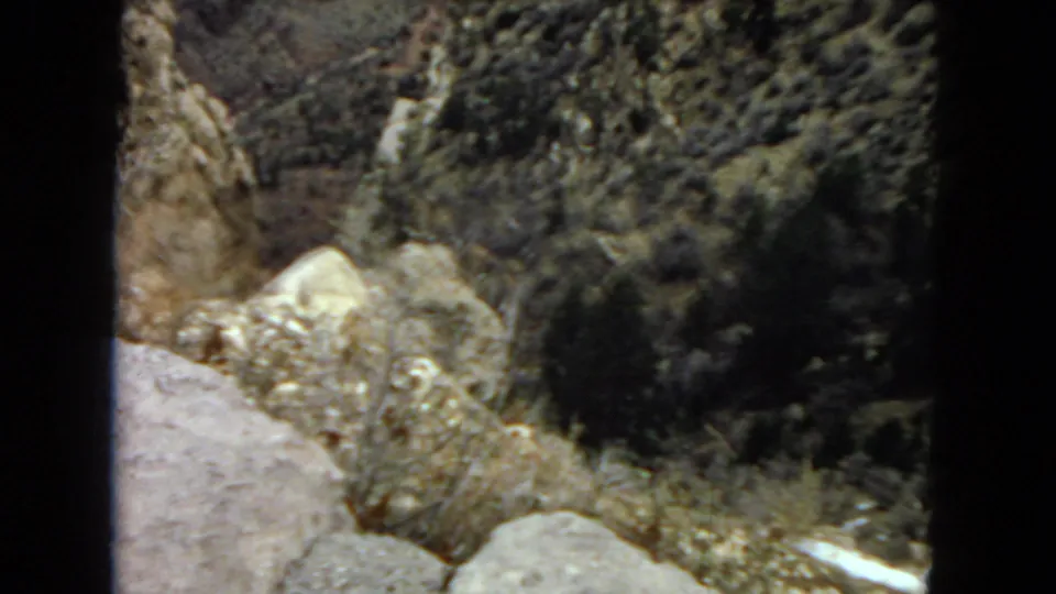 1967 Arizona home-movie frame showing a rocky desert slope with pale boulders, dry ground, and scattered shrubs under harsh sun.