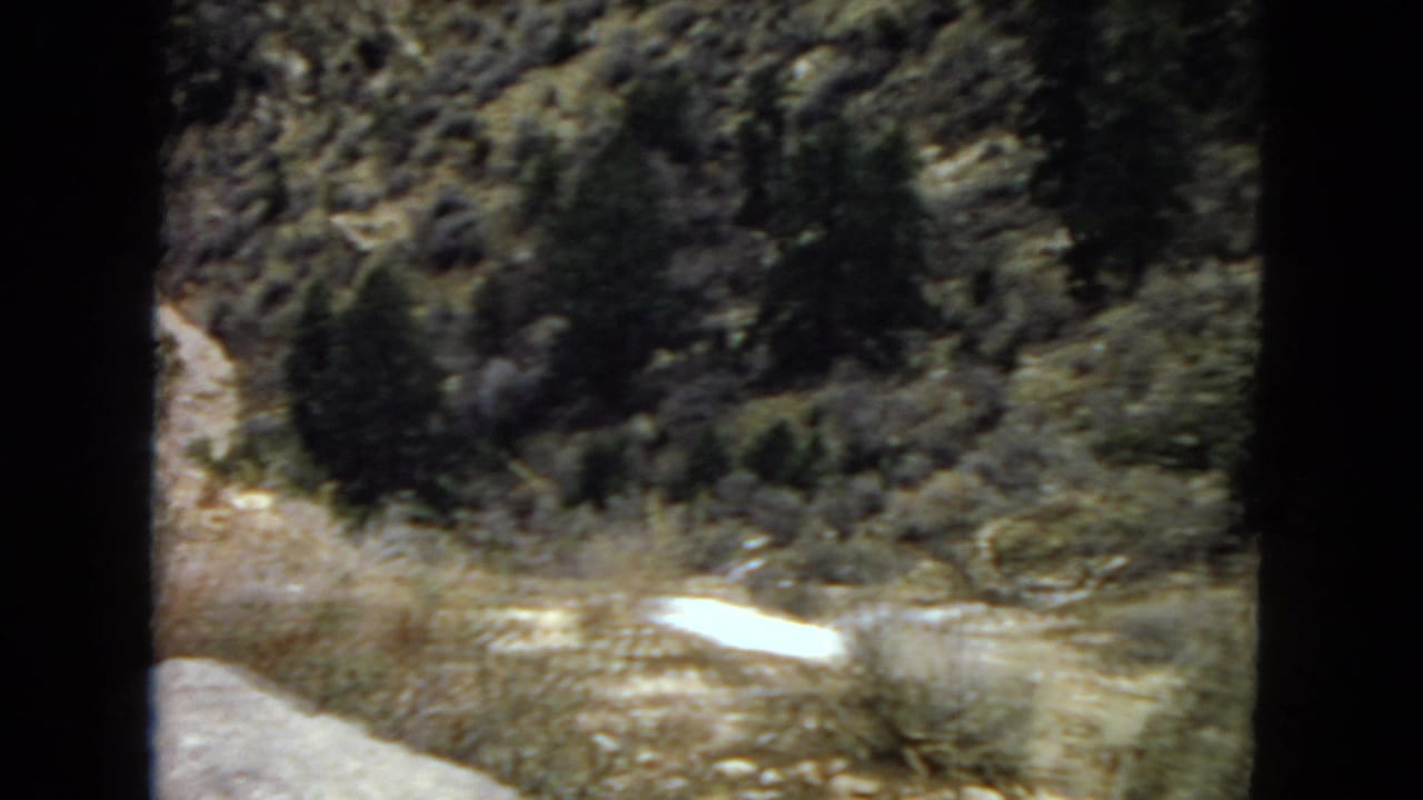 Scrubby desert hillside with a pale dry wash or exposed rock crossing the lower frame.