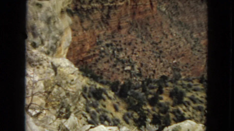 1967 Arizona 8mm frame showing a rocky canyon wall with pale foreground stone, scattered shrubs, and warm red-brown rock tones.