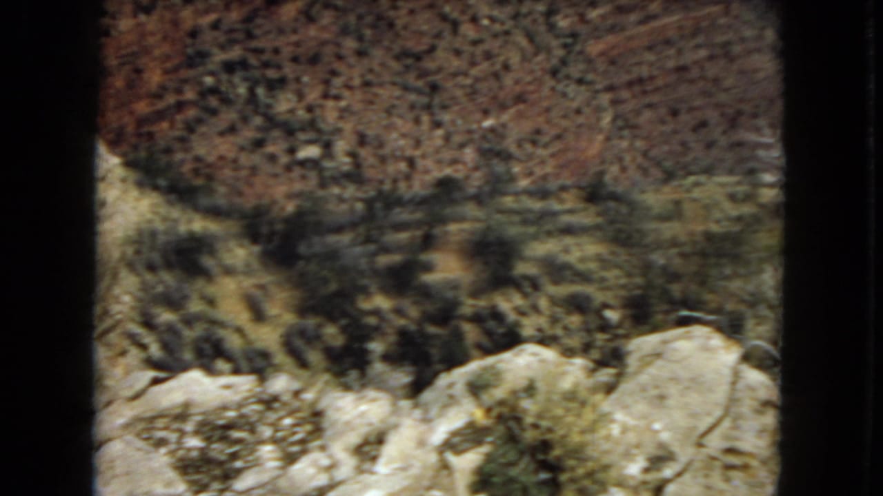 Canyon slope with red rock, pale boulders, and low desert shrubs.