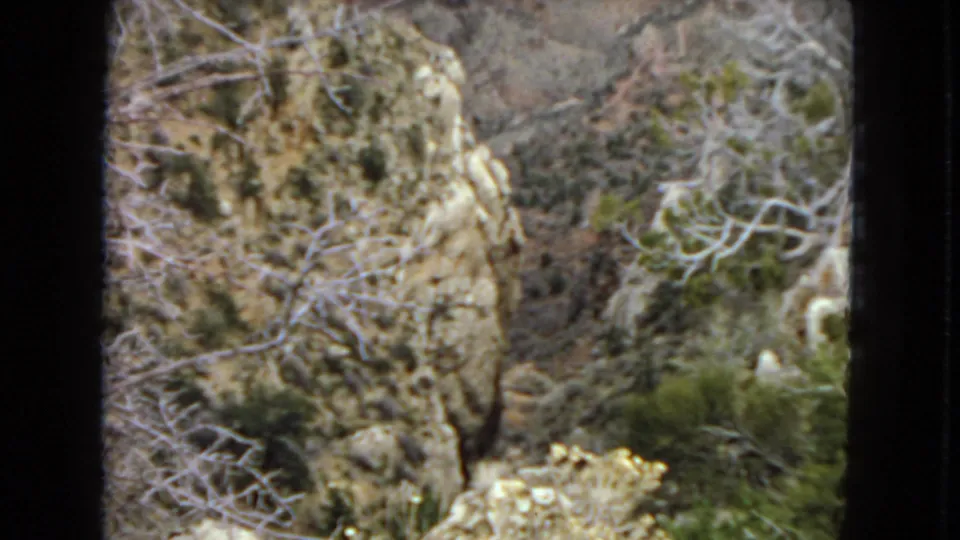 1967 Arizona 8mm frame showing a rocky canyon edge with leafless branches, green shrubs, pale stone, and a distant red-brown wall.
