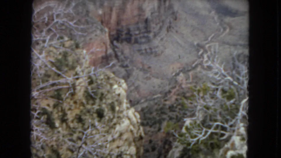 1967 Arizona 8mm frame looking through pale branches and shrubs toward a red-brown canyon wall and rugged rock formations.