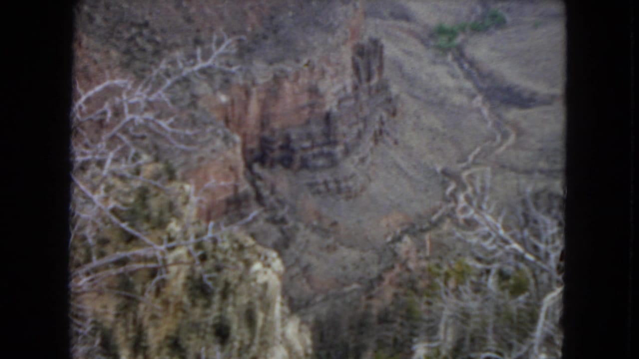 1967 8mm home-movie view of the Grand Canyon with bare foreground branches, layered rock walls, and pale winding terrain below.
