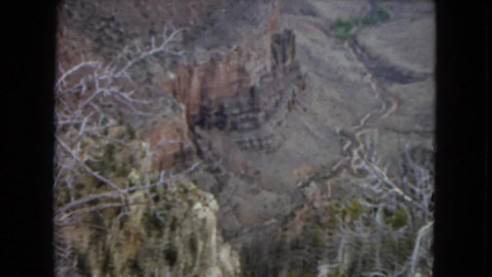 1967 8mm home-movie view of the Grand Canyon with bare foreground branches, layered rock walls, and pale winding terrain below.