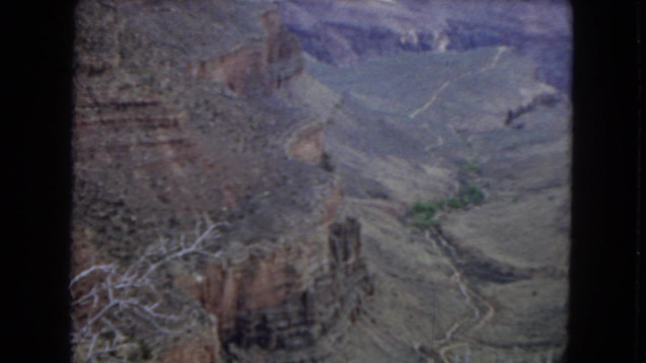 Grand Canyon panorama from a visitor overlook, showing layered cliffs, pale winding terrain, sparse branches, and atmospheric haze in 1967 8mm color.