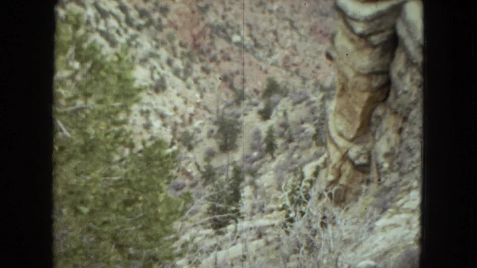 Close handheld 8mm view of pale Grand Canyon rock, dry brush, and green shrubs in Arizona travel footage from 1967.