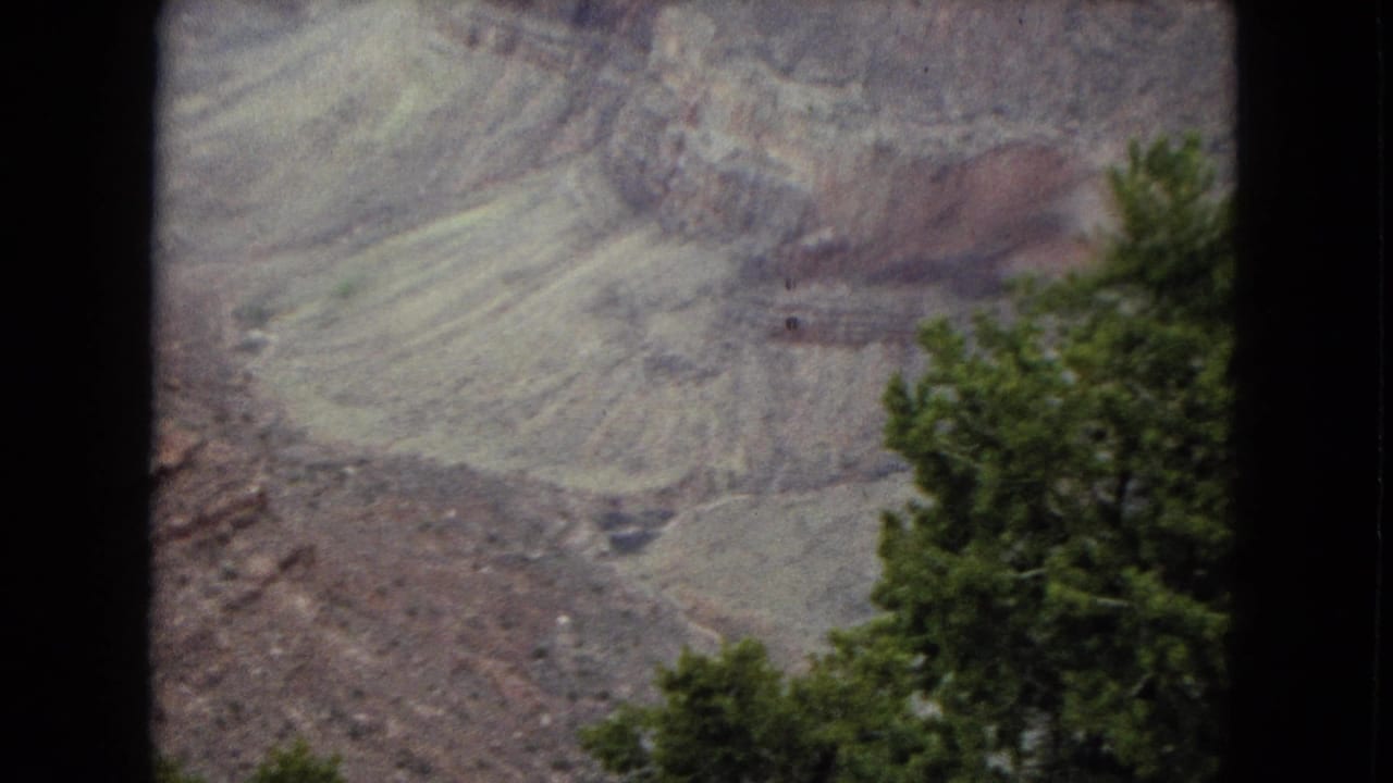 Grand Canyon slopes and a green tree near the right edge of the frame.