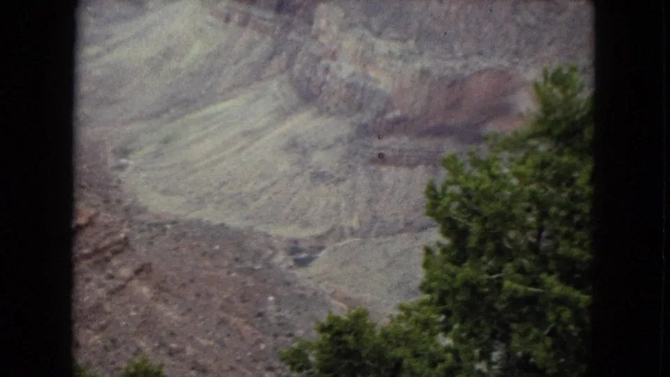 1967 8mm Grand Canyon overlook view with pale rock layers in the distance and a green tree partly framing the right side.