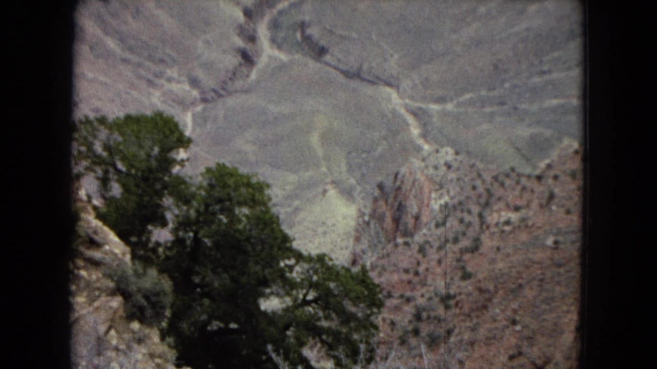 1967 Arizona home-movie frame showing a dark green tree at a canyon overlook with pale layered rock slopes and reddish formations in the distance.