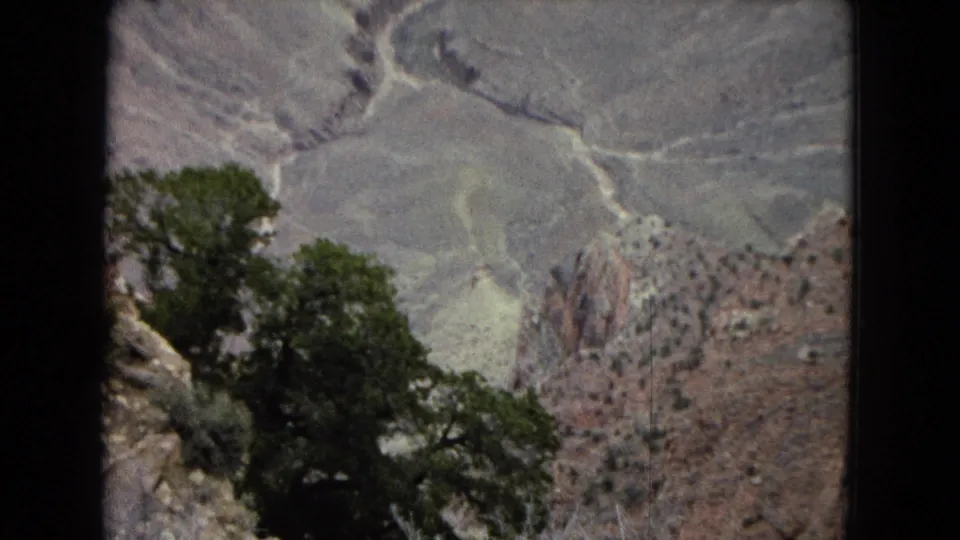 1967 Arizona home-movie frame showing a dark green tree at a canyon overlook with pale layered rock slopes and reddish formations in the distance.