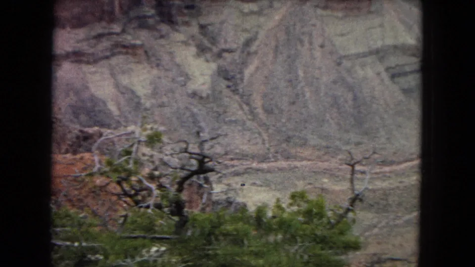 1967 8mm home-movie frame of a desert canyon wall with red and pale rock layers, a winding channel below, and a twisted foreground tree and shrubs.