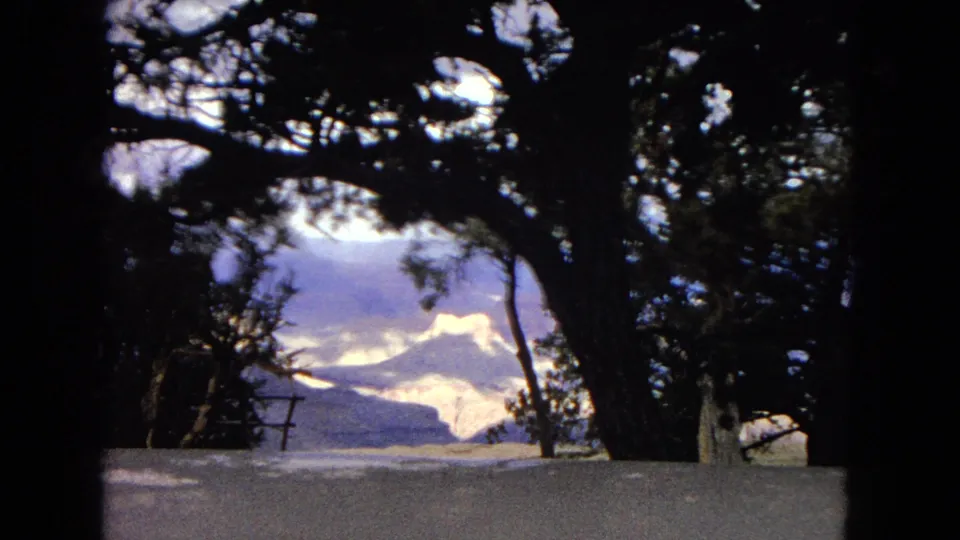 1967 Arizona home-movie frame with dark tree trunks and branches in the foreground, opening onto a distant canyon view under broken clouds.