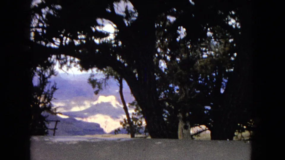 1967 Arizona 8mm frame showing silhouetted trees beside a pale overlook edge, with canyon formations visible through the branches.