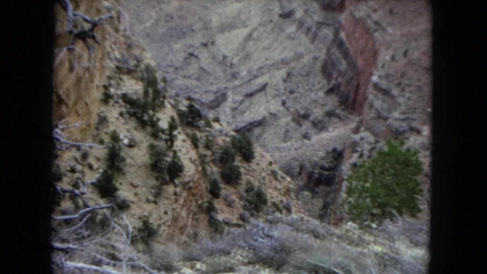 1967 Arizona 8mm frame with a rocky canyon rim, sparse desert trees, exposed branches, and layered cliff walls receding into the background.