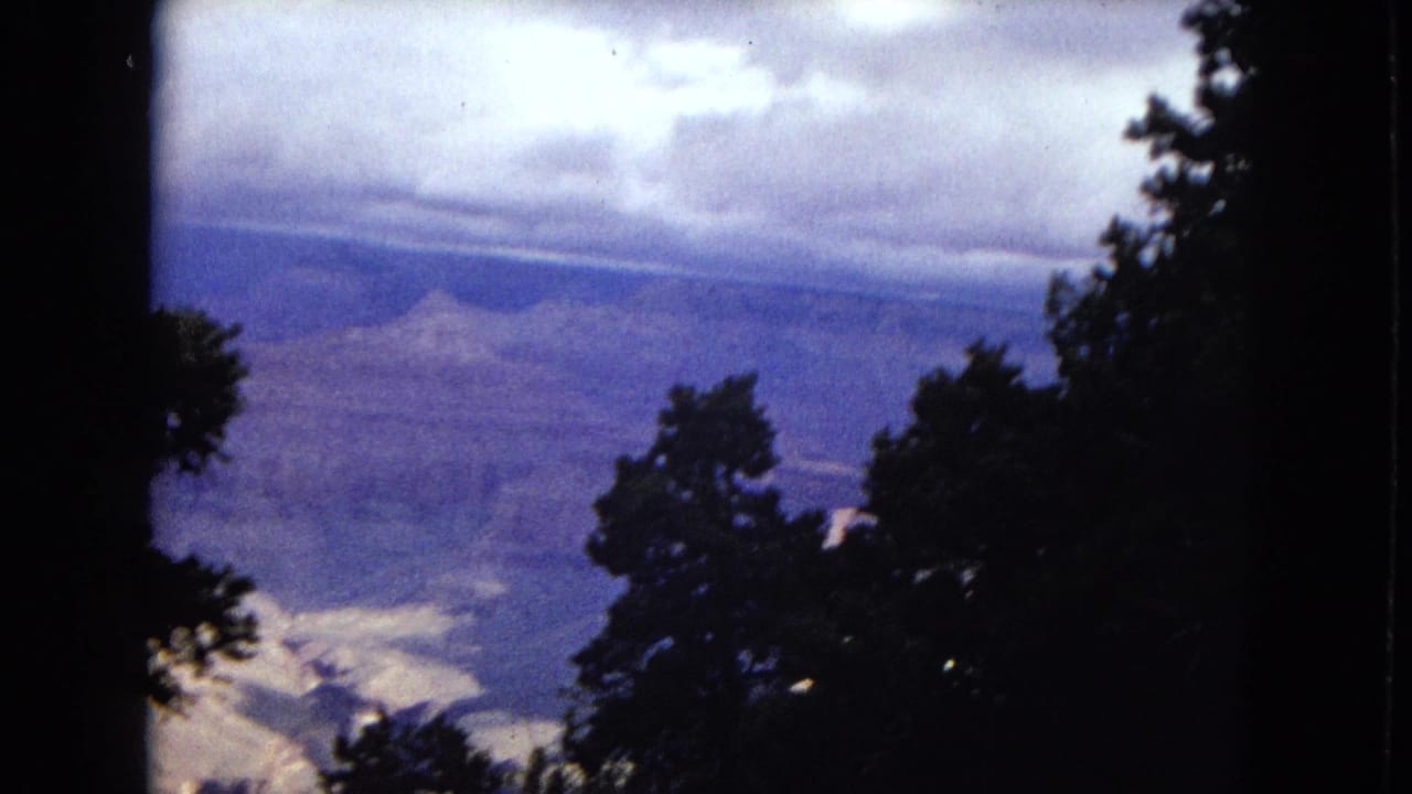 Distant canyon ridges and cloud cover seen between dark tree shapes.