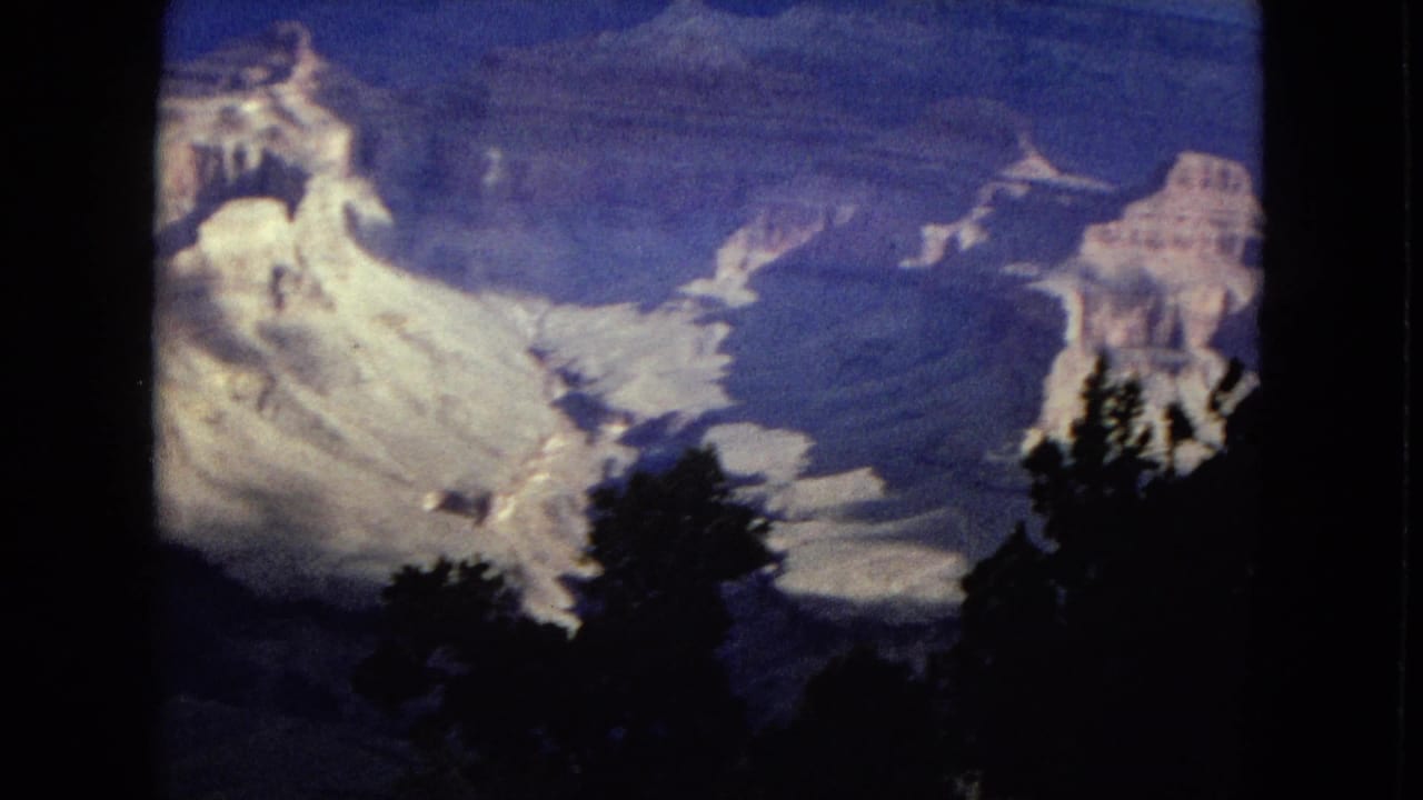 Wide canyon view with pale rock walls and dark tree silhouettes in front.