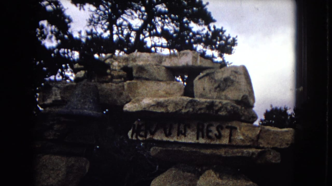 Stone marker with painted text framed by tree branches and sky.