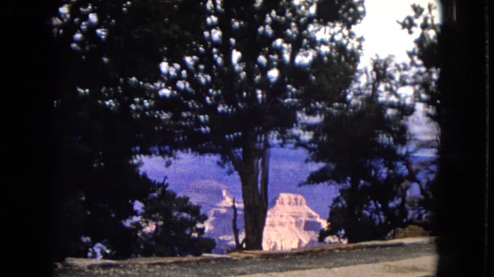 1967 Arizona 8mm frame looking toward canyon formations through silhouetted trees, with a bright pale rock formation and strong blue-purple color shift.