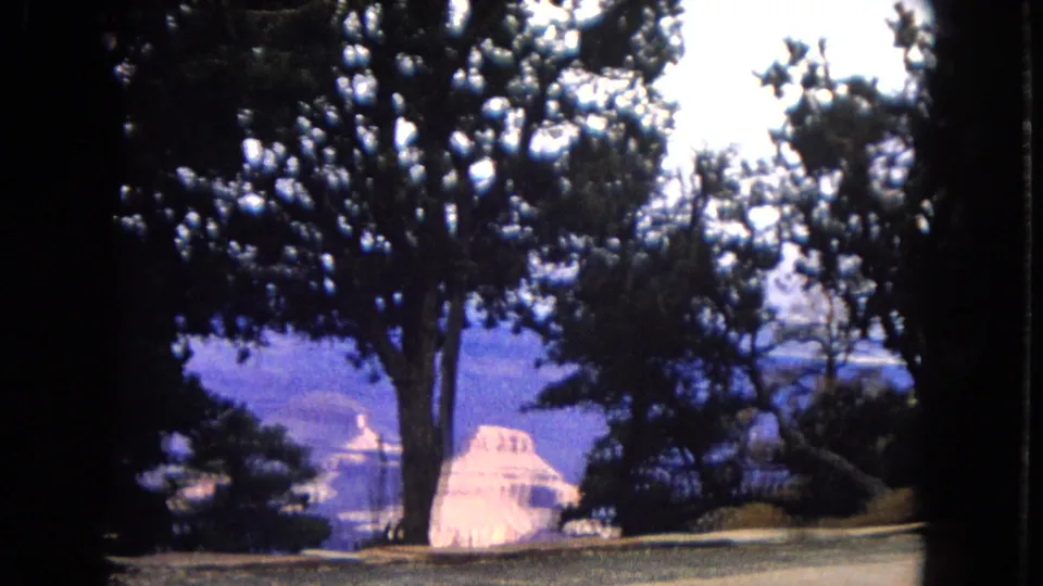 1967 Arizona home-movie frame showing a Grand Canyon overlook through dark foreground trees, with distant layered canyon walls and aged-film purple tint.