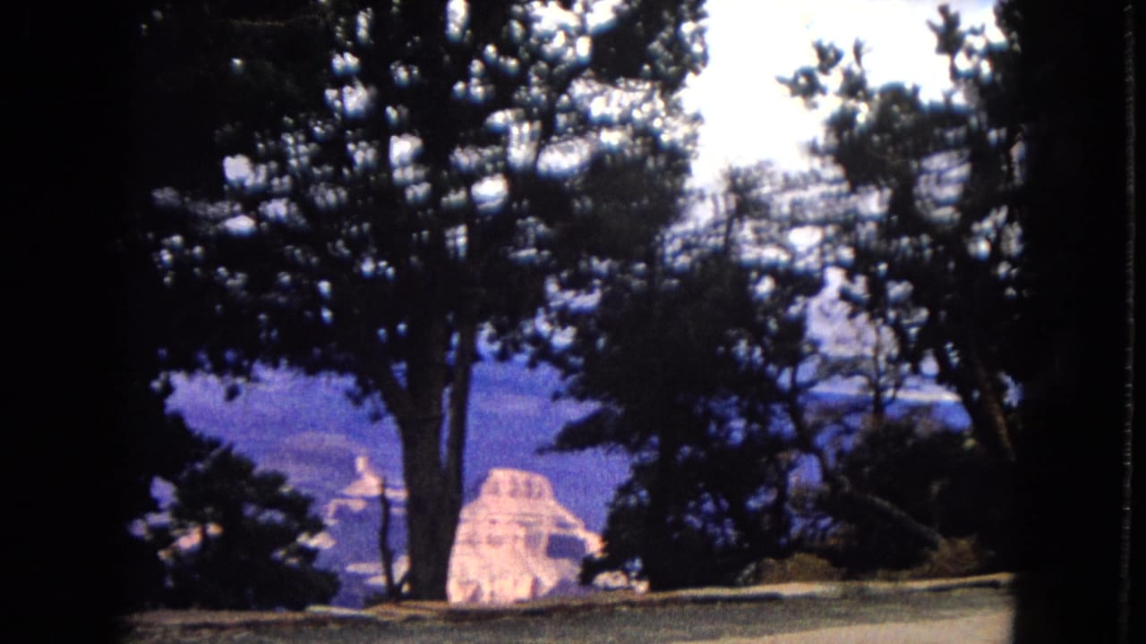 1960s 8mm home-movie frame looking through dark trees toward distant canyon formations and a cloudy sky in the Southwest United States.
