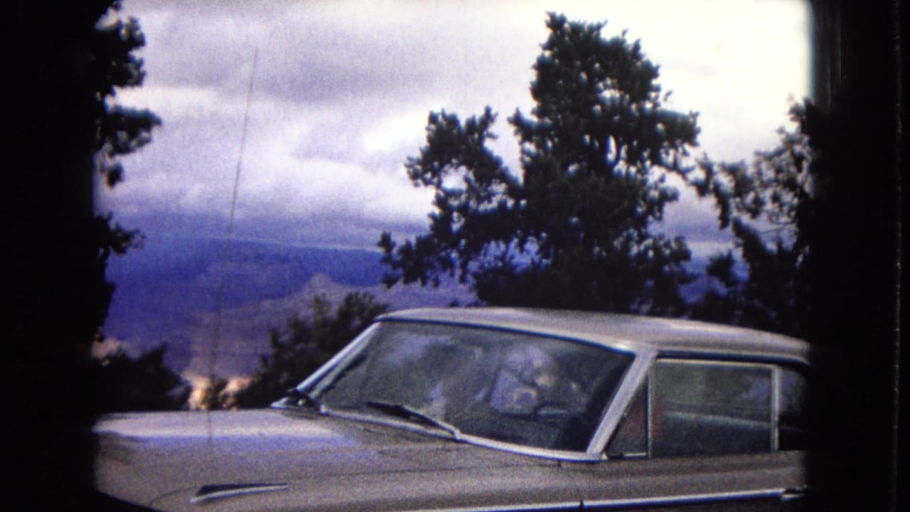 Light-colored older car parked beside trees with a canyon landscape beyond.