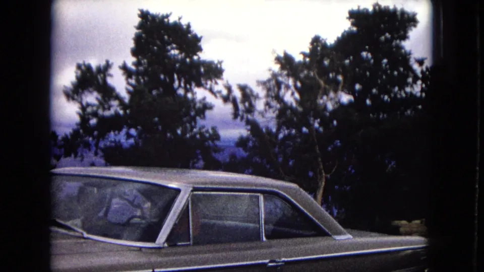 Light-colored older car remains parked beneath windblown trees, with a cloudy sky and distant canyon landscape visible beyond the overlook.