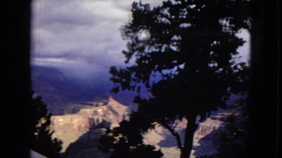 Soft 8mm view of the Grand Canyon in Arizona, partly blocked by a silhouetted tree and dark film border.