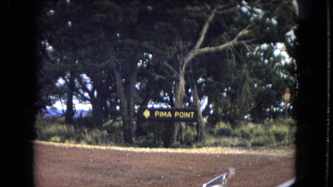 Pima Point sign beside a wooded roadside.
