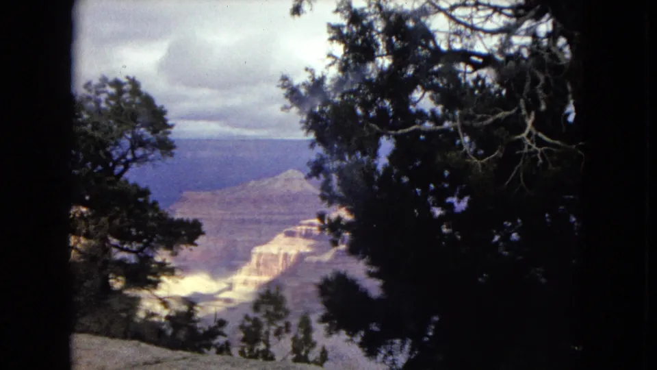 1967 Arizona 8mm frame with dark trees and branches framing a distant Grand Canyon formation, rendered with soft focus and faded color.