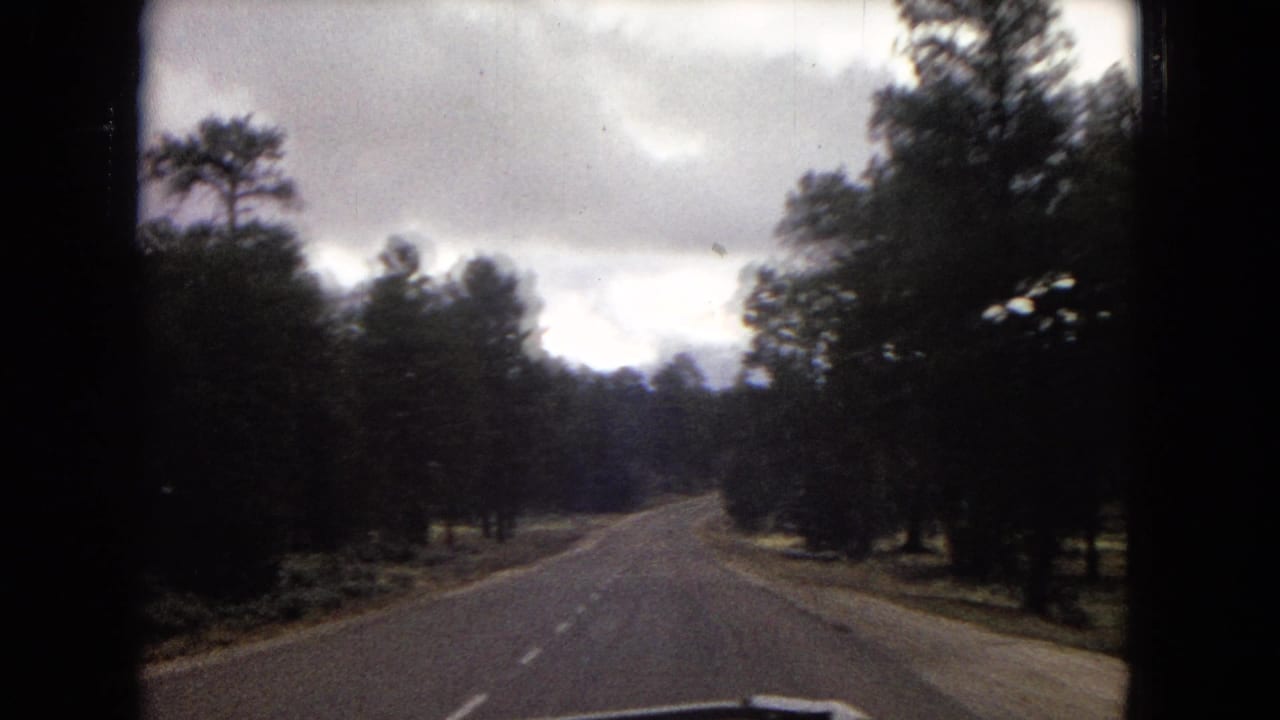 Two-lane road through pine trees beneath an overcast sky.