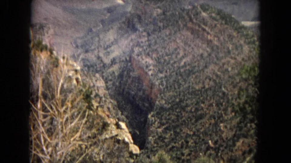 1967 8mm view across the Grand Canyon, showing steep wooded slopes, bare foreground branches, layered rock walls, and a deep ravine below.