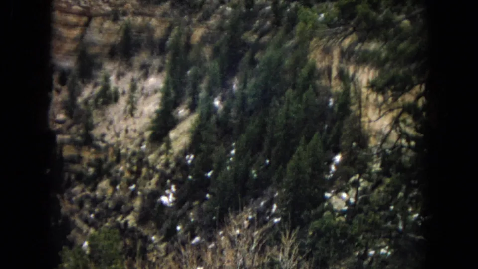 1967 Arizona canyon footage showing a closer forested slope, rock wall textures, scattered snow patches, brush, and dark 8mm frame edges.