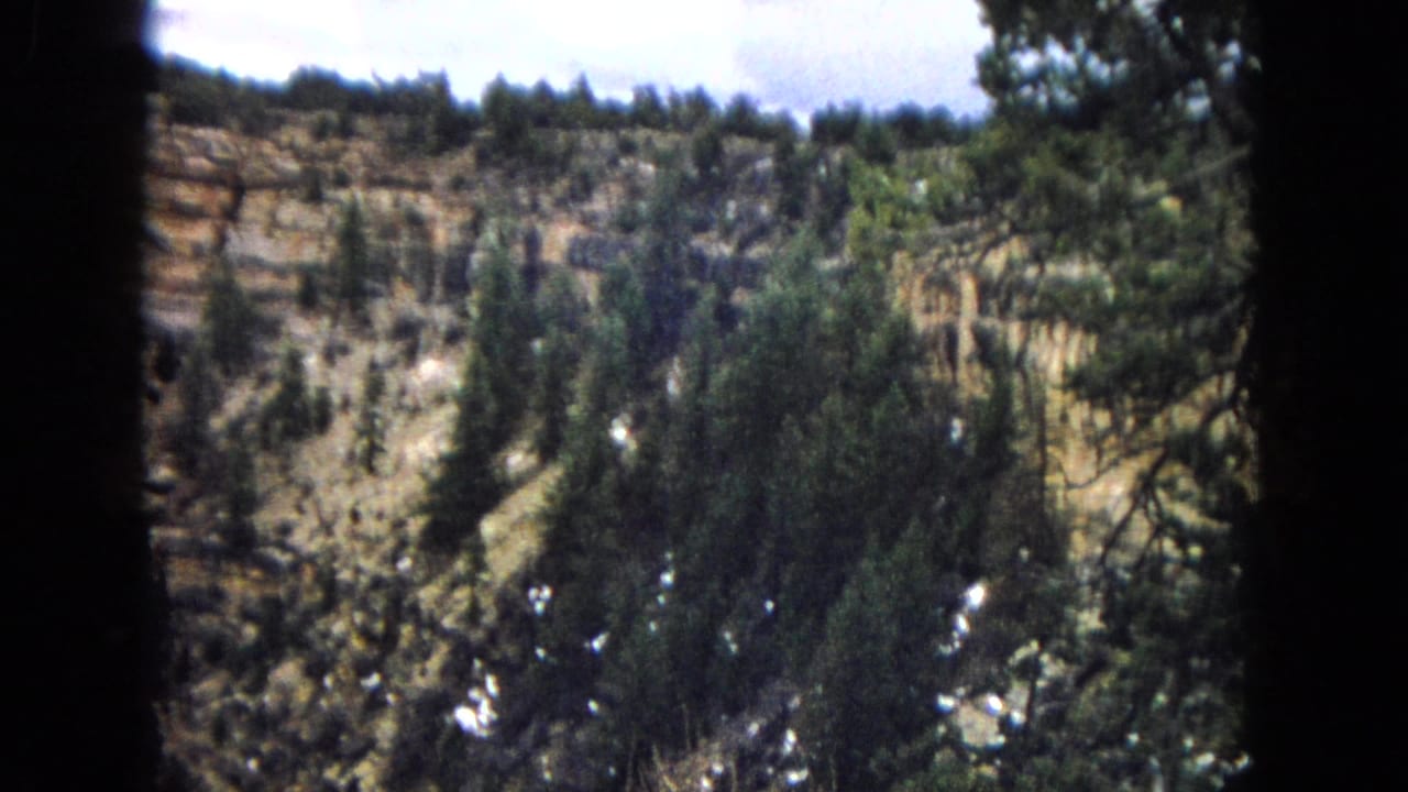 1967 Arizona home-movie frame showing pine trees on a rocky canyon slope below layered sandstone cliffs and a bright cloudy sky.