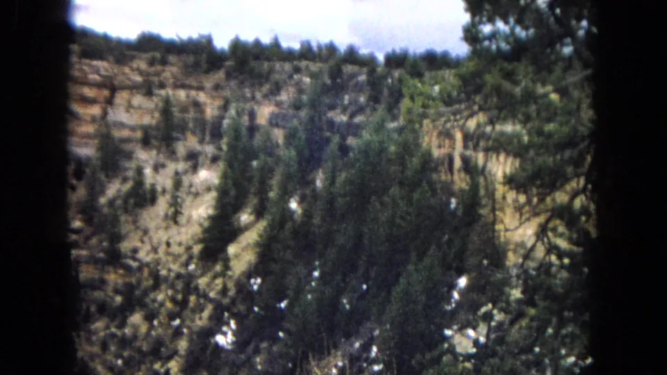 1967 Arizona home-movie frame showing pine trees on a rocky canyon slope below layered sandstone cliffs and a bright cloudy sky.