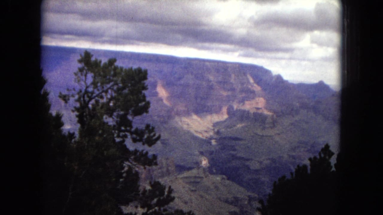Grand Canyon vista with a pine silhouette and distant canyon walls under clouds.
