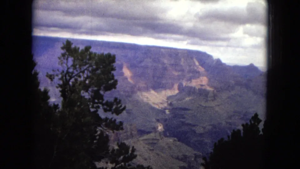 1967 Grand Canyon home-movie frame showing a silhouetted pine tree in front of broad canyon walls and a cloudy sky.