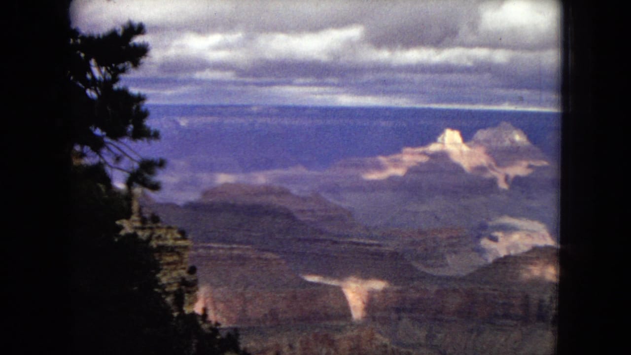 Distant canyon formations with a dark tree trunk and branches in the foreground.